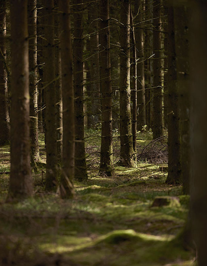 Fotostudie Aarhus – Moment Studio